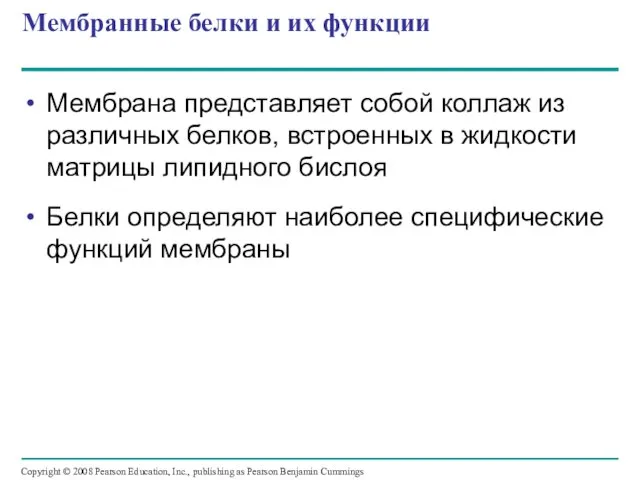 Мембранные белки и их функции Мембрана представляет собой коллаж из различных белков,