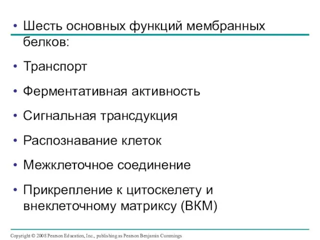 Шесть основных функций мембранных белков: Транспорт Ферментативная активность Сигнальная трансдукция Распознавание клеток