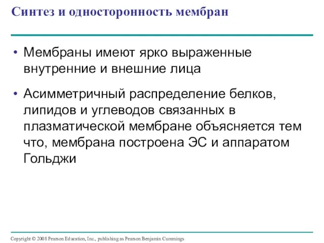 Синтез и односторонность мембран Мембраны имеют ярко выраженные внутренние и внешние лица