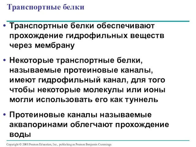 Транспортные белки Транспортные белки обеспечивают прохождение гидрофильных веществ через мембрану Некоторые транспортные