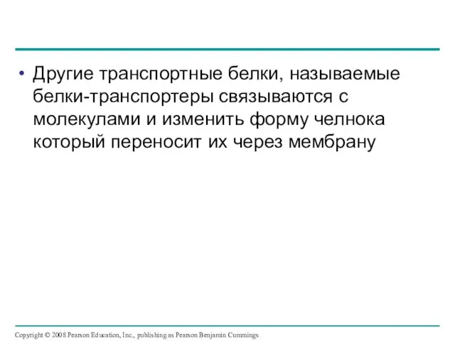 Другие транспортные белки, называемые белки-транспортеры связываются с молекулами и изменить форму челнока