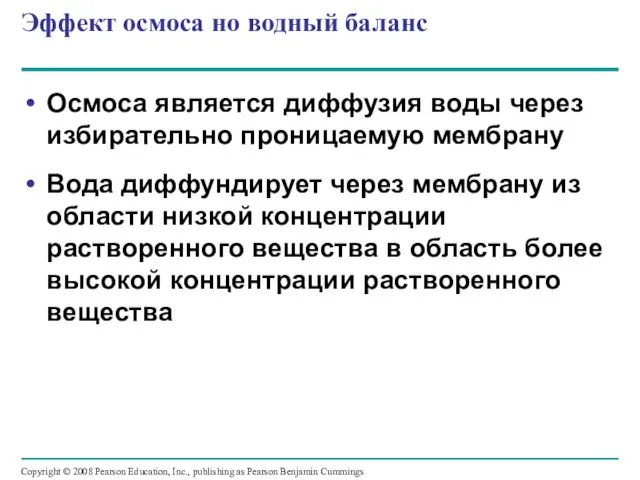 Эффект осмоса но водный баланс Осмоса является диффузия воды через избирательно проницаемую