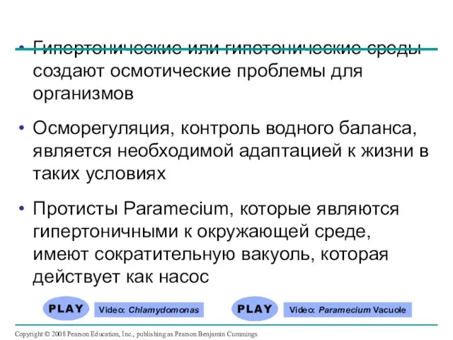 Гипертонические или гипотонические среды создают осмотические проблемы для организмов Осморегуляция, контроль водного