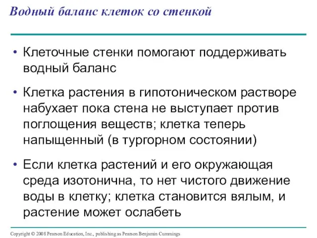 Водный баланс клеток со стенкой Клеточные стенки помогают поддерживать водный баланс Клетка