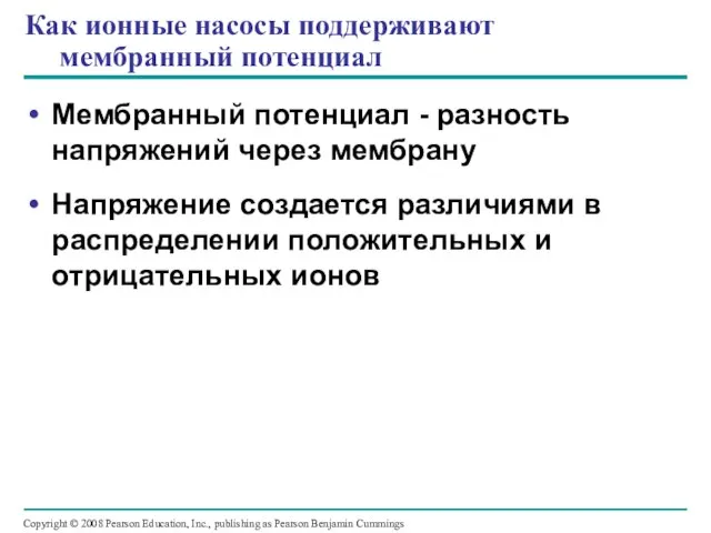 Как ионные насосы поддерживают мембранный потенциал Мембранный потенциал - разность напряжений через