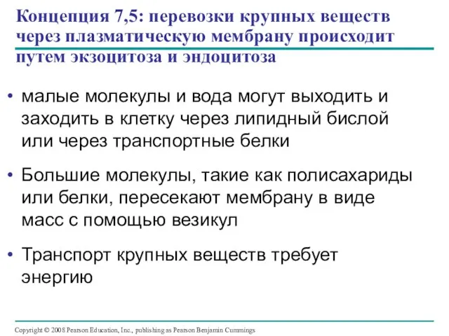 Концепция 7,5: перевозки крупных веществ через плазматическую мембрану происходит путем экзоцитоза и