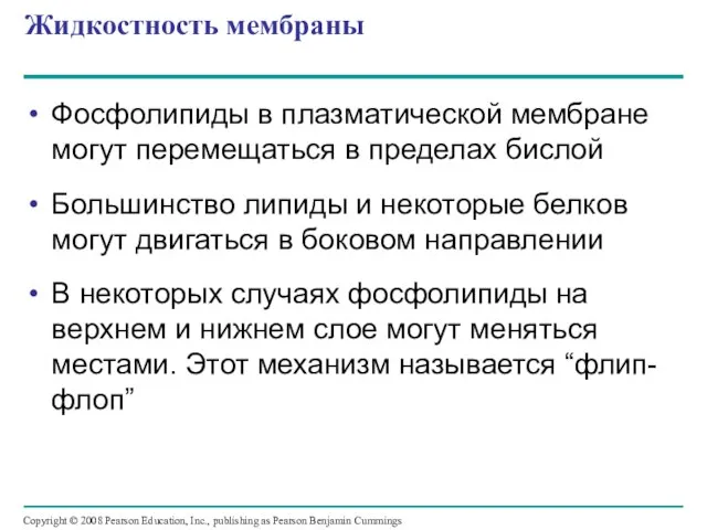 Жидкостность мембраны Фосфолипиды в плазматической мембране могут перемещаться в пределах бислой Большинство