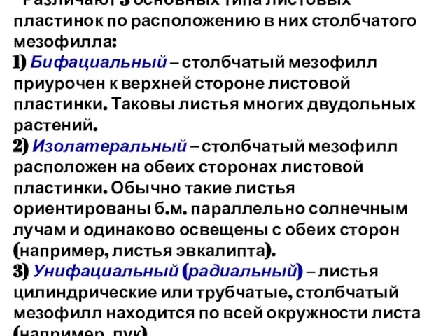 Различают 3 основных типа листовых пластинок по расположению в них столбчатого мезофилла: