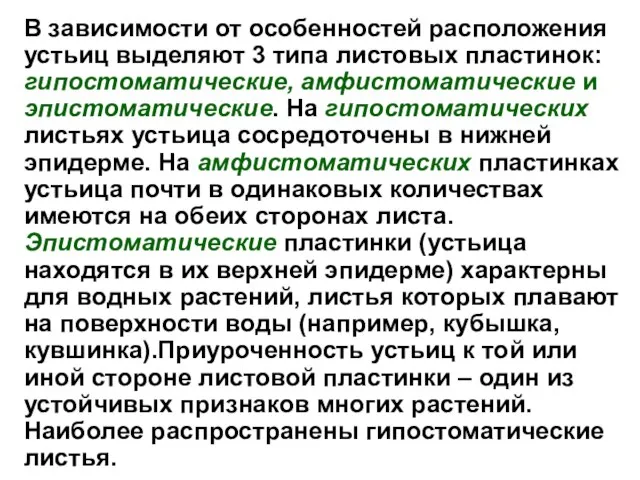 В зависимости от особенностей расположения устьиц выделяют 3 типа листовых пластинок: гипостоматические,