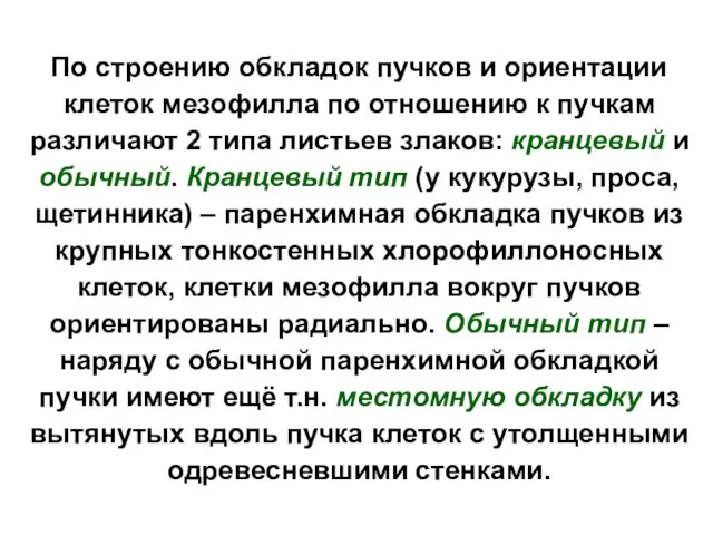 По строению обкладок пучков и ориентации клеток мезофилла по отношению к пучкам