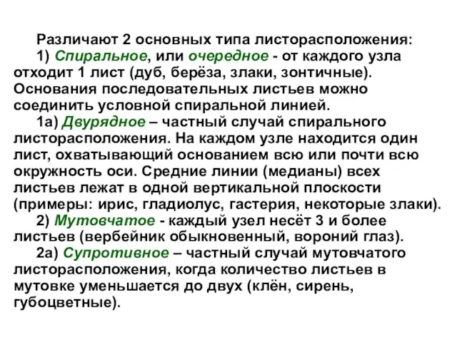 Различают 2 основных типа листорасположения: 1) Спиральное, или очередное - от каждого