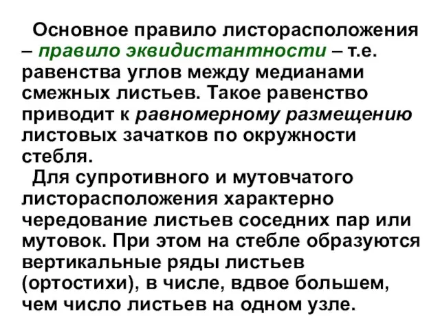 Основное правило листорасположения – правило эквидистантности – т.е. равенства углов между медианами