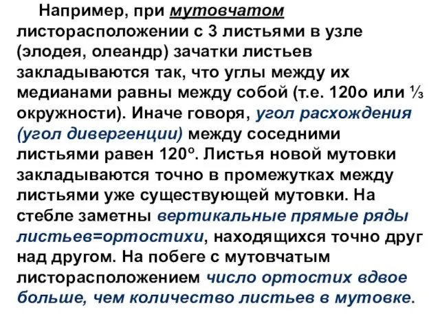 Например, при мутовчатом листорасположении с 3 листьями в узле (элодея, олеандр) зачатки