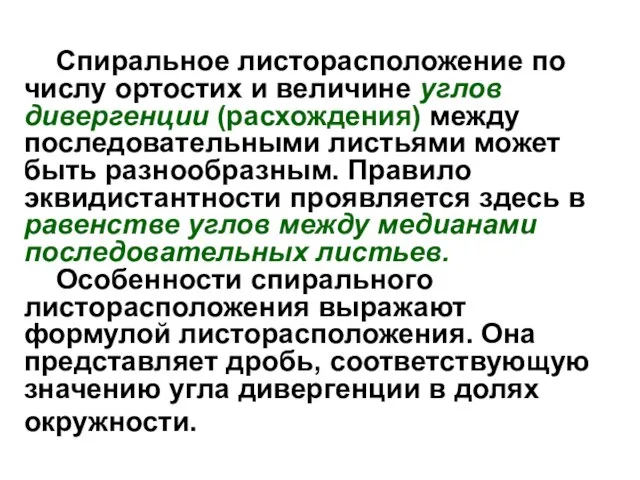 Спиральное листорасположение по числу ортостих и величине углов дивергенции (расхождения) между последовательными