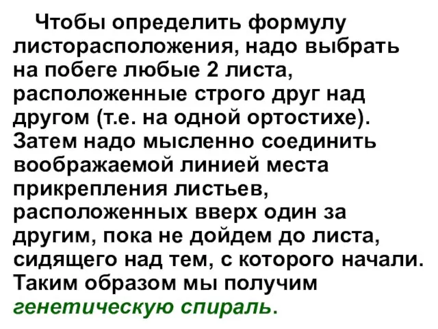 Чтобы определить формулу листорасположения, надо выбрать на побеге любые 2 листа, расположенные