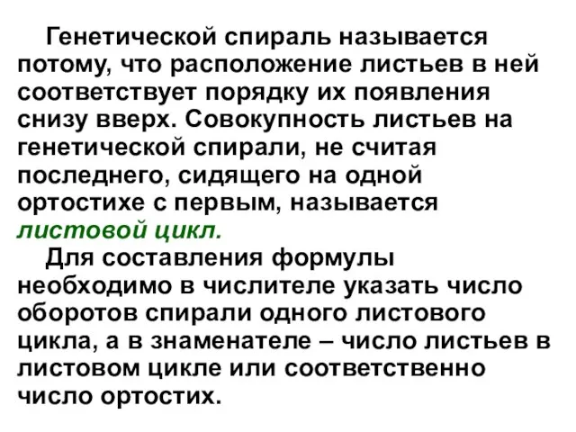 Генетической спираль называется потому, что расположение листьев в ней соответствует порядку их