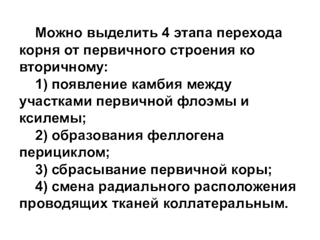 Можно выделить 4 этапа перехода корня от первичного строения ко вторичному: 1)