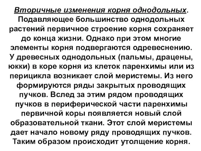 Вторичные изменения корня однодольных. Подавляющее большинство однодольных растений первичное строение корня сохраняет