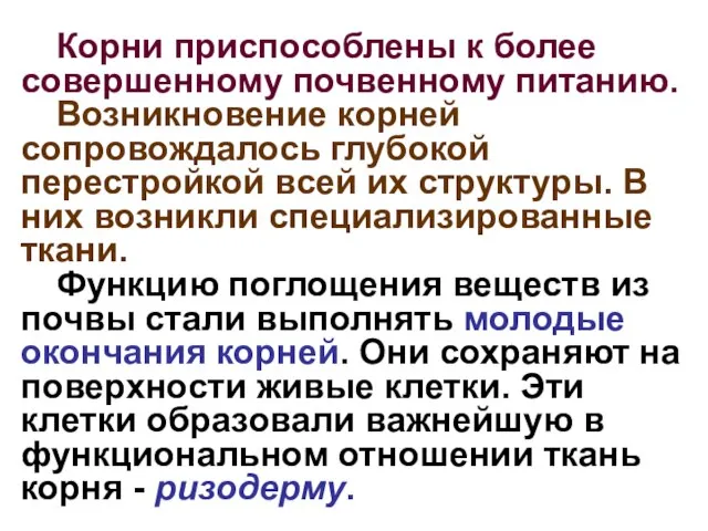 Корни приспособлены к более совершенному почвенному питанию. Возникновение корней сопровождалось глубокой перестройкой