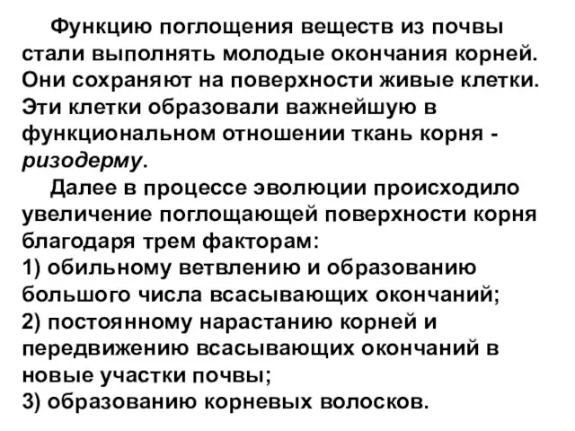 Функцию поглощения веществ из почвы стали выполнять молодые окончания корней. Они сохраняют