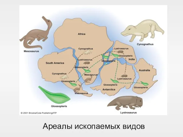 Ареалы ископаемых видов