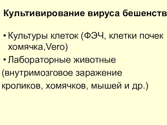 Культивирование вируса бешенства Культуры клеток (ФЭЧ, клетки почек хомячка,Vero) Лабораторные животные (внутримозговое