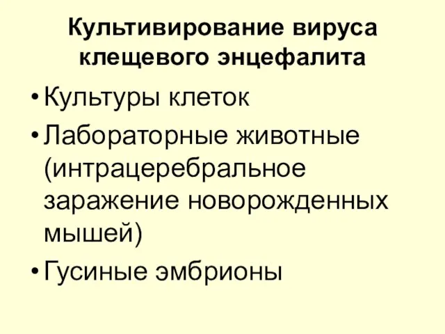 Культивирование вируса клещевого энцефалита Культуры клеток Лабораторные животные (интрацеребральное заражение новорожденных мышей) Гусиные эмбрионы