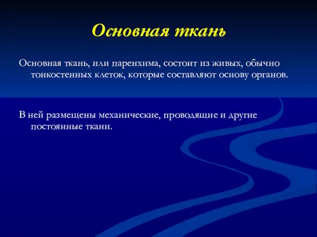 Основная ткань Основная ткань, или паренхима, состоит из живых, обычно тонкостенных клеток,