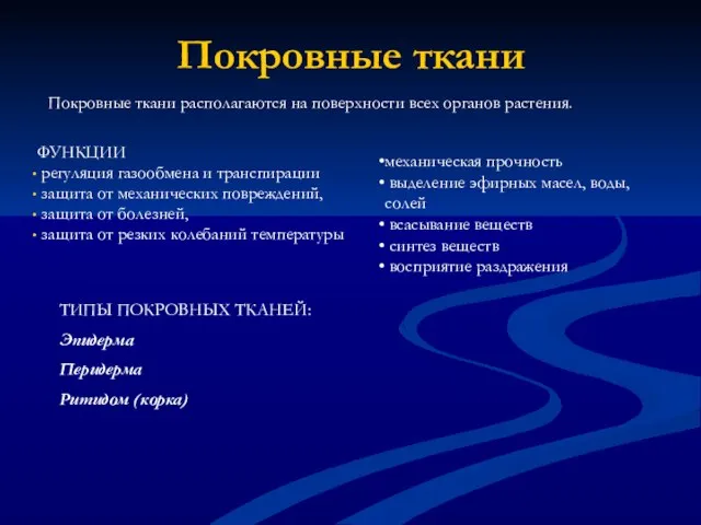 Покровные ткани Покровные ткани располагаются на поверхности всех органов растения. ТИПЫ ПОКРОВНЫХ