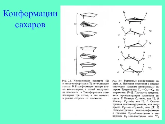 Конформации сахаров