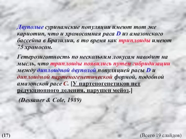 Двуполые суринамские популяции имеют тот же кариотип, что и хромосомная раса D