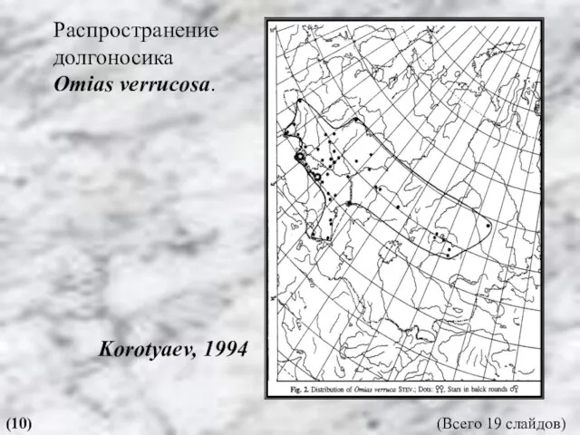 Распространение долгоносика Omias verrucosa. Korotyaev, 1994 (10) (Всего 19 слайдов)