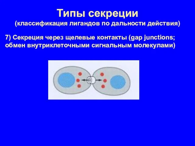 Типы секреции (классификация лигандов по дальности действия) 7) Секреция через щелевые контакты