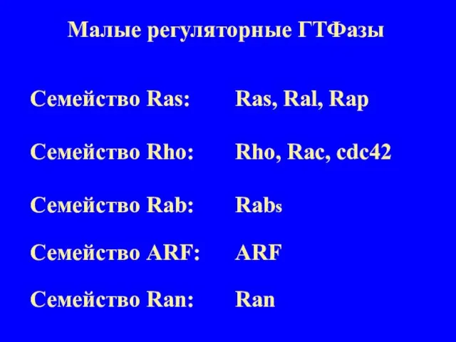 Малые регуляторные ГТФазы Семейство Ras: Ras, Ral, Rap Семейство Rho: Rho, Rac,