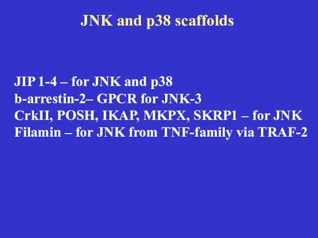 JNK and p38 scaffolds JIP 1-4 – for JNK and p38 b-arrestin-2–