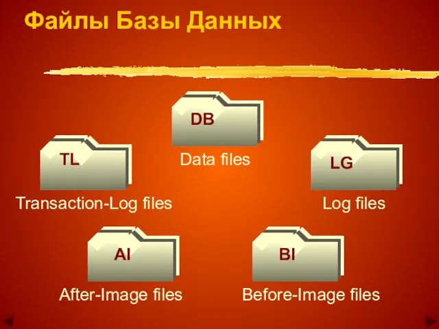 DB LG TL BI AI Data files Log files Before-Image files After-Image