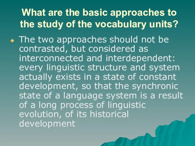 What are the basic approaches to the study of the vocabulary units?