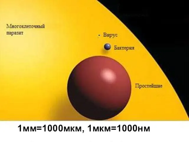 1мм=1000мкм, 1мкм=1000нм