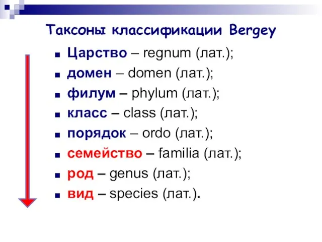 Таксоны классификации Bergey Царство – regnum (лат.); домен – domen (лат.); филум