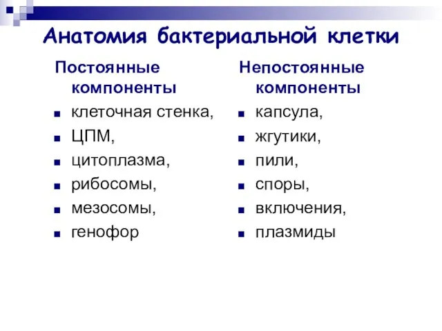 Анатомия бактериальной клетки Постоянные компоненты клеточная стенка, ЦПМ, цитоплазма, рибосомы, мезосомы, генофор