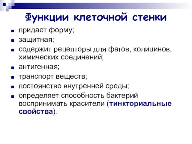 Функции клеточной стенки придает форму; защитная; содержит рецепторы для фагов, колицинов, химических