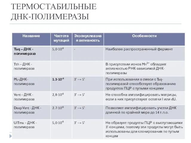 ТЕРМОСТАБИЛЬНЫЕ ДНК-ПОЛИМЕРАЗЫ