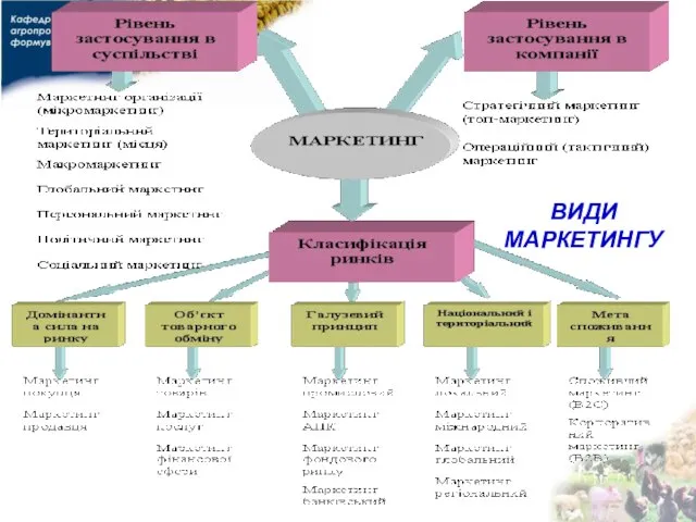 ВИДИ МАРКЕТИНГУ