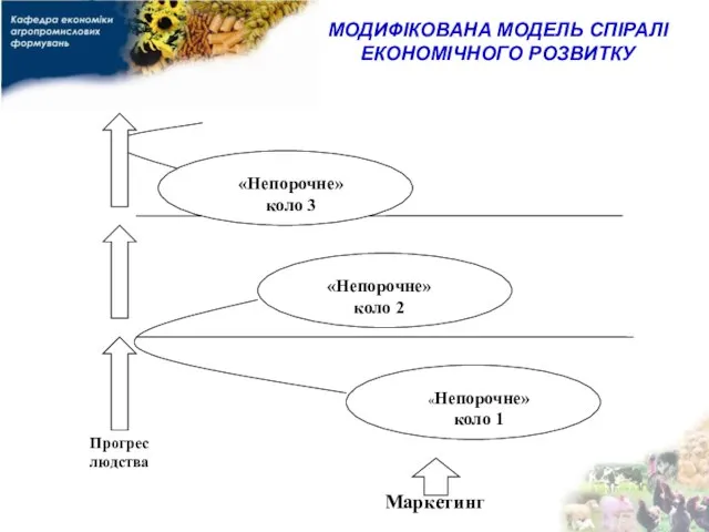 МОДИФІКОВАНА МОДЕЛЬ СПІРАЛІ ЕКОНОМІЧНОГО РОЗВИТКУ