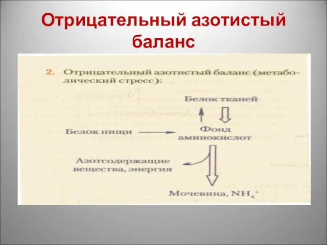 Отрицательный азотистый баланс