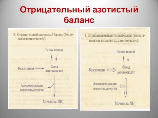 Отрицательный азотистый баланс