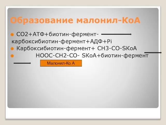 Образование малонил-КоА СО2+АТФ+биотин-фермент- карбоксибиотин-фермент+АДФ+Рi Карбоксибиотин-фермент+ СН3-СО-SКоА НООС-СН2-СО- SКоА+биотин-фермент Малонил-Ко А