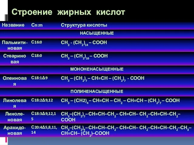 Строение жирных кислот