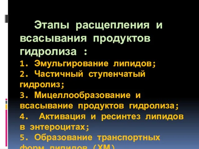 Этапы расщепления и всасывания продуктов гидролиза : 1. Эмульгирование липидов; 2. Частичный