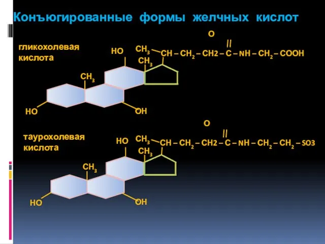 Конъюгированные формы желчных кислот